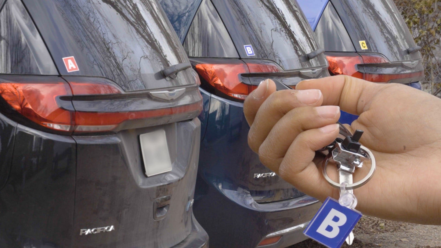 Last Look Labels Production Vehicle ID Package